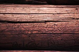 Wooden logs with a groove and hole structure made by insects photo