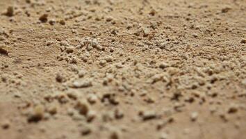 Macro of bread crumbs lying on a wooden slat photo