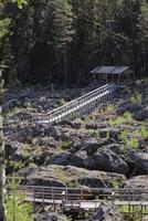 Wooden track and information hut a Doeda Fallet in Sweden photo