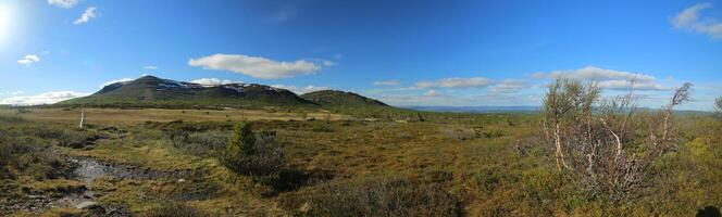Panoramic view of bogs and Mountain Ansaett in Sweden photo
