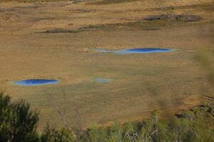 Ponds in a Swedish bog in summer photo
