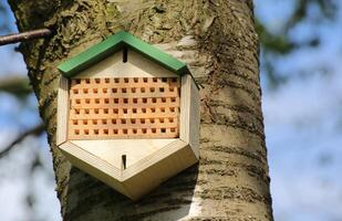 Insect hotel installed on an apple tree photo