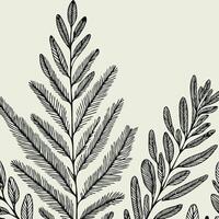 Fir Branches, Coniferous Tree, Linear Pine Cones, Pine. Hand Drawn Seamless vector