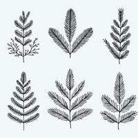 Fir Branches, Coniferous Tree, Linear Pine Cones, Pine. Set Of Christmas Tree Line Art vector