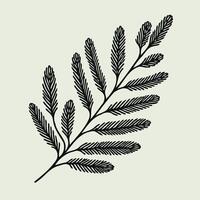 Fir Branches, Coniferous Tree, Linear Pine Cones, Pine. Winter Holiday Hand Drawn Elements. vector