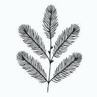 Fir Branches, Coniferous Tree, Linear Pine Cones, Pine, Doodle Christmas vector