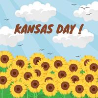 sunflower field design for cansas day vector