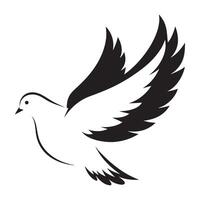 A black and white dove flying on a white background vector