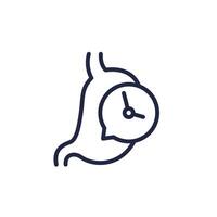 digestion, time to digest food line icon with a stomach vector