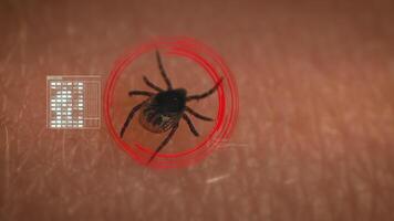 A tick on a person's arm with a red circle around it video