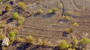 Drone view of fire on field. Aerial view of dry grass field in fire video