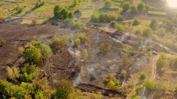 Flaming dry grass on field. Fire in field after wheat harvest video