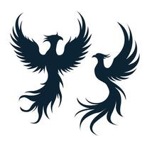 two phoenixes are shown on a white background vector