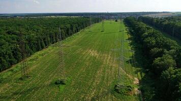 Pylons and electrical power lines. Aerial view of electrical power lines and towers video