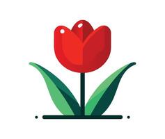 Red tulip isolated on white background vector