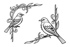 Ornate frame featuring an abstract design vector