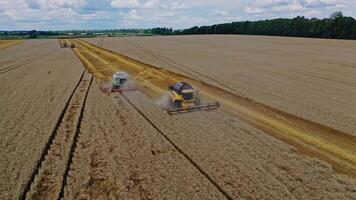 Agricultural Equipment On Field. Aerial view of combine in field of grain crops video