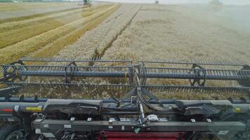 Head cabin and reaping machine. Combine harvester with cutter platform at work video