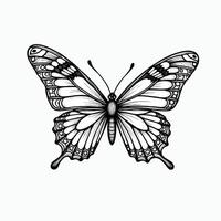 Hand drawn butterfly illustration coloring image vector
