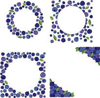 Blueberry circle round frame set. Blueberries with leaves, delicious blueberries round graphic line background illustration. Juicy blueberry design with place for text and logo vector