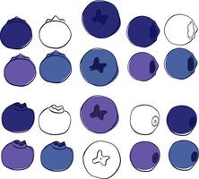 Blueberry line graphic icon set. illustration. vector