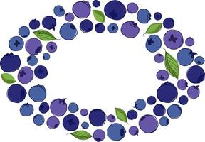 Blueberry with leaves oval frame with ripe blueberries in blue and violet tones on a white isolated background. graphic line illustration. vector