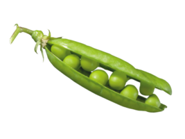 Green Peas and Beans Floating on Transparent Background png