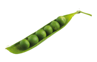 Peas and Beans Clean Display on Clear Background png