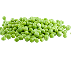 Peas and Beans with Transparency for Design Projects png