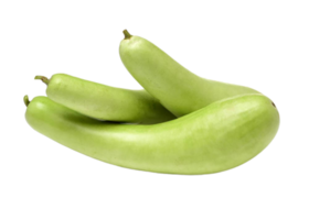 Three green bottle gourd on a transparent background png