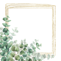Eucalyptus leaves and branches with gold frame. Watercolor realistic hand drawn floral illustration. Square frame, template for wedding invitations, festive or greeting cards. Isolated from background png