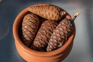 Closeup small wooden pine cones in clay pot isolated on empty table. Natural pine cones of conifer tree. Coniferous pine cones still life photo