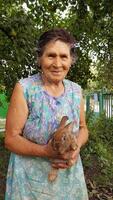Senior woman holds little rabbit in her elderly hands. Smiling 80s granny in summer garden. Grandmother and brown fur little rabbit photo