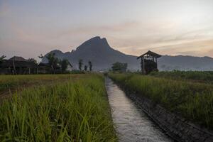 Morning vibes in the countryside with an irrigation canal and a mountain in the background. A serene atmosphere in agricultural field. photo