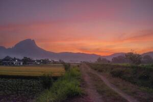 A pathway in the countryside with a mountain and red sky in the background photo