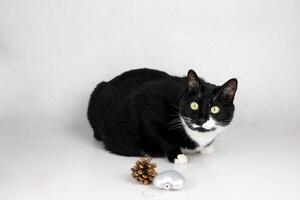 A curious black and white cat is sitting quietly on the table next to her lies a pine cone and a silver heart. photo