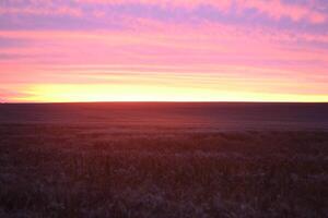 Sunset in the field. photo