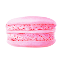 Watercolor illustration of pink macaron with detailed texture and vibrant color. Isolated clip art is perfect for bakery branding, dessert menus, food-related designs, greeting cards, party projects png