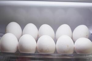 Fresh White Eggs Stored in the Refrigerator Compartment for Safety photo