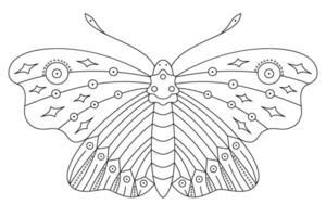 Line art coloring book butterfly anti-stress. vector