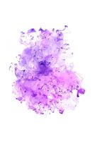 Purple ink dropped in to water isolated white background. Abstract color dissolving in water photo
