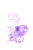 Purple ink dropped in to water isolated white background. Abstract color dissolving in water photo