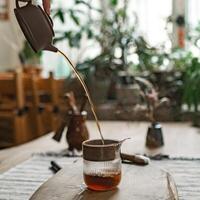 Pouring a warm cup of tea in a cozy indoor setting surrounded by various plants and greenery photo