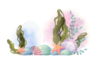 Green seaweed, colorful shells, and coral branches depicted in watercolor. This clipart is perfect for creating marine-themed wrapping paper, textile patterns, digital products, and classroom decor png