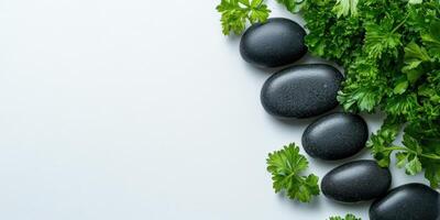 A minimalist arrangement of black stones and green herbs on a white surface photo