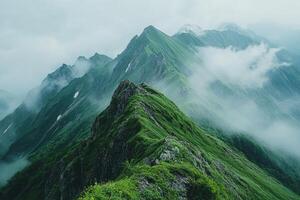Green mountain peaks emerging from misty clouds in a serene landscape photo