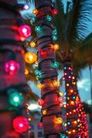 Colorful string lights wrapped around palm tree trunks at dusk photo