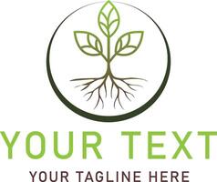A tree seedling has three leaves vector