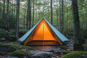 Illuminated tent invites campers to rest in a tranquil forest setting photo