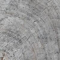 Background from a cross section of a tree trunk. Abstract texture from the rings of an old weathered stump photo
